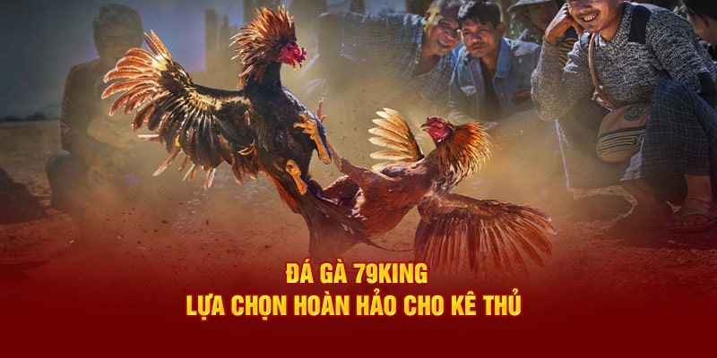 79KING lựa chọn hoàn hảo cho kê thủ